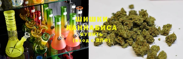 шишки Заволжье