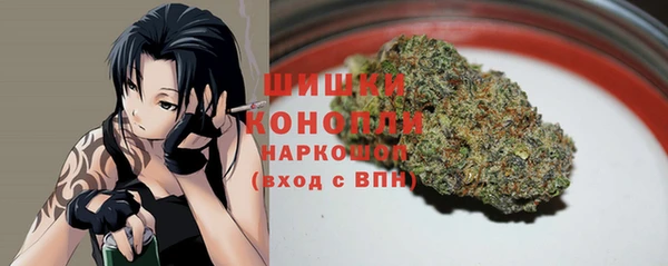 прущие грибы Заволжск