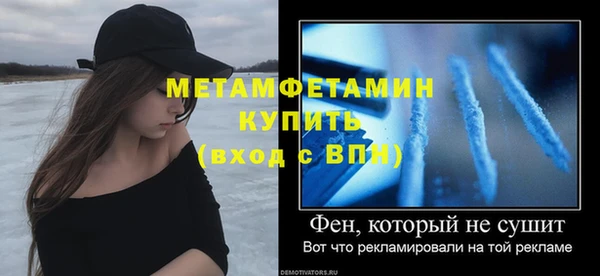 шишки Заволжье
