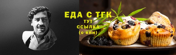 шишки Заволжье