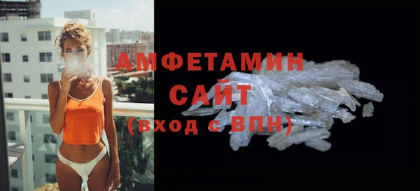 шишки Заволжье