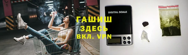шишки Заволжье
