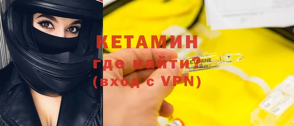 шишки Заволжье
