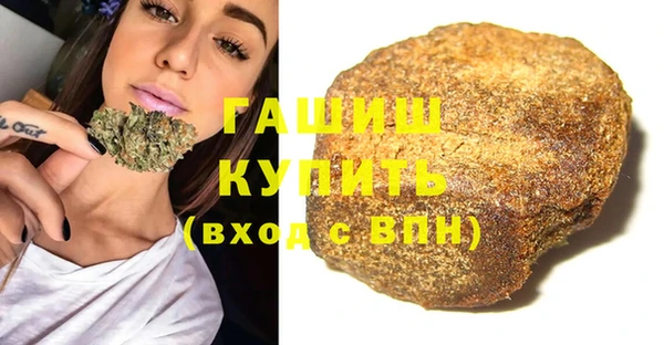 шишки Заволжье