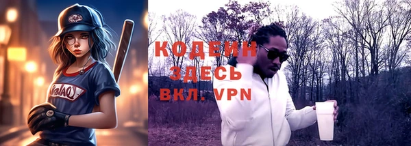 шишки Заволжье