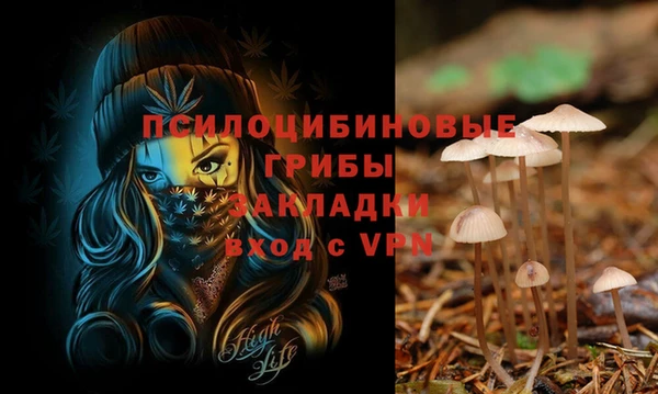шишки Заволжье