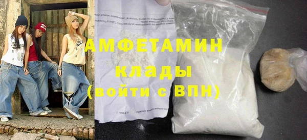 шишки Заволжье