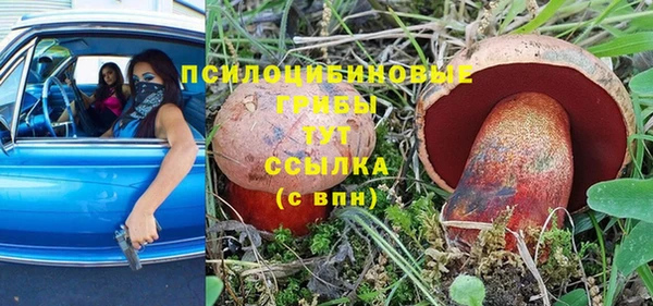 прущие грибы Заволжск