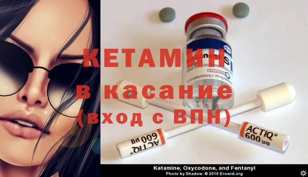 прущие грибы Заволжск
