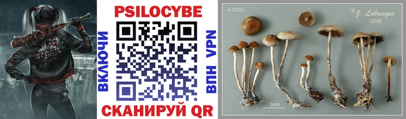Купить где  Орёл  Галлюциногенные грибы прущие грибы 